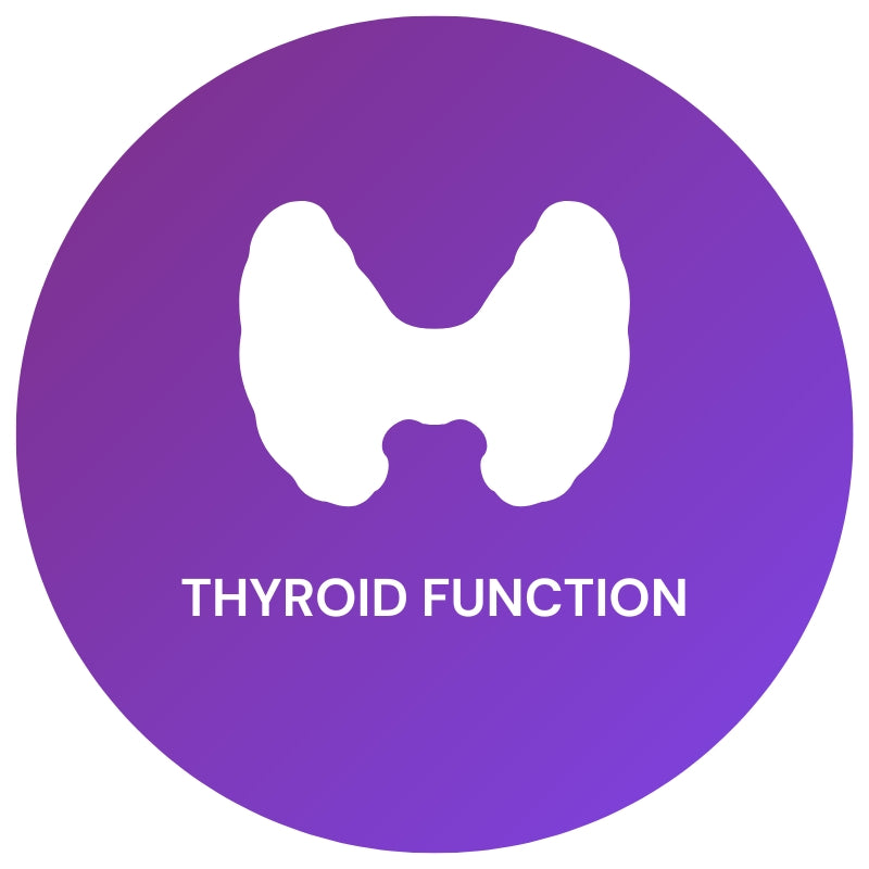 Thyroid Function Profile